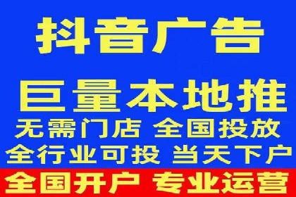 谷歌竞价广告与SEO结合的营销案例解析
